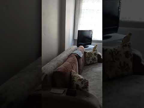 youtube.com