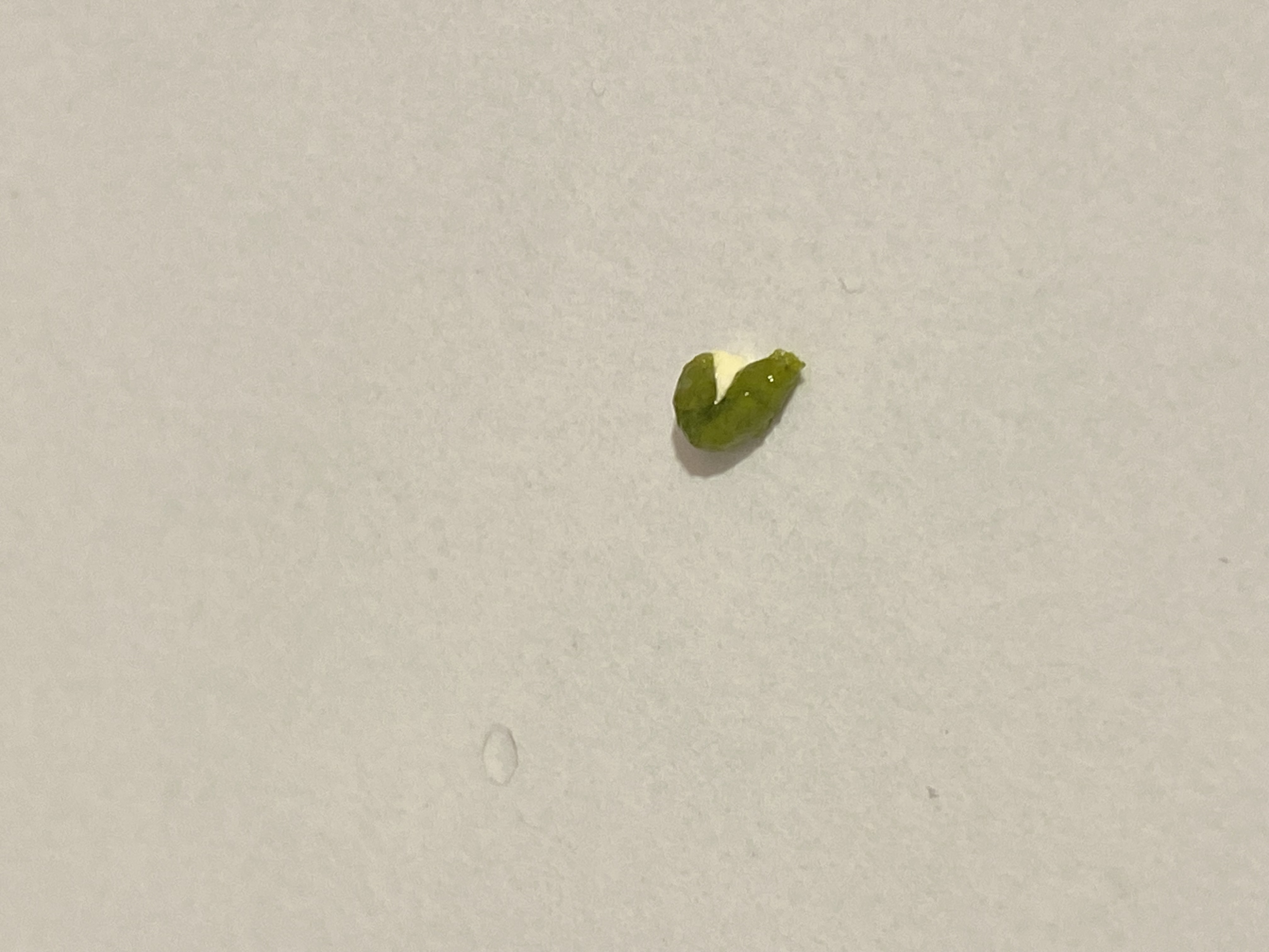 hizliresim.com