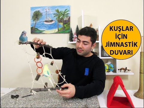 youtu.be