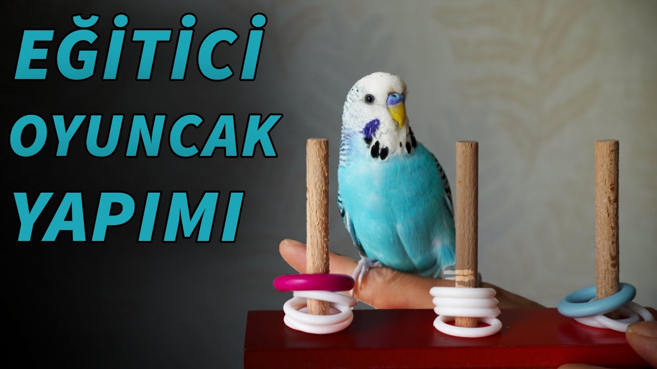 youtu.be