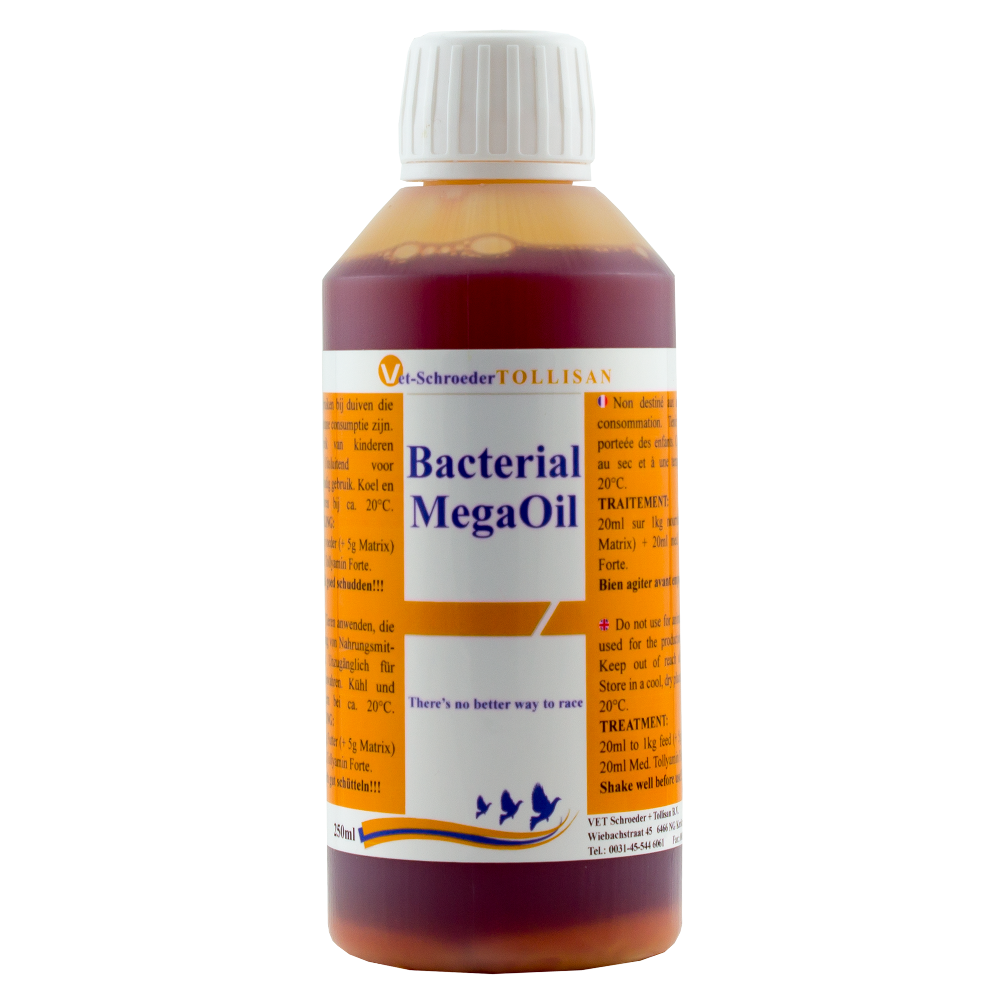 www.schroeder-tollisan.com