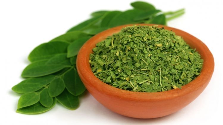 hipwee-moringa-750x422.jpg